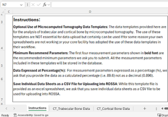 Example of a data template file for microcomputed tomography