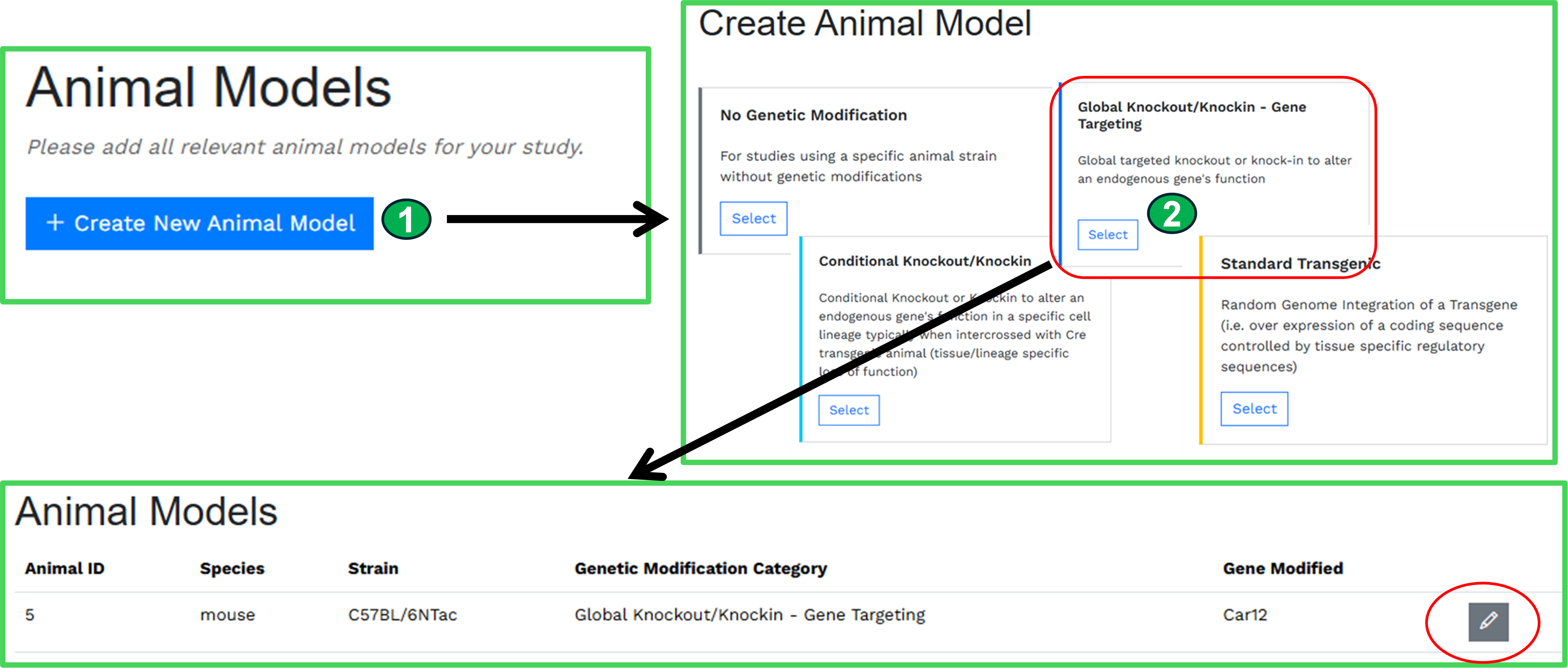 Genetic Models interface