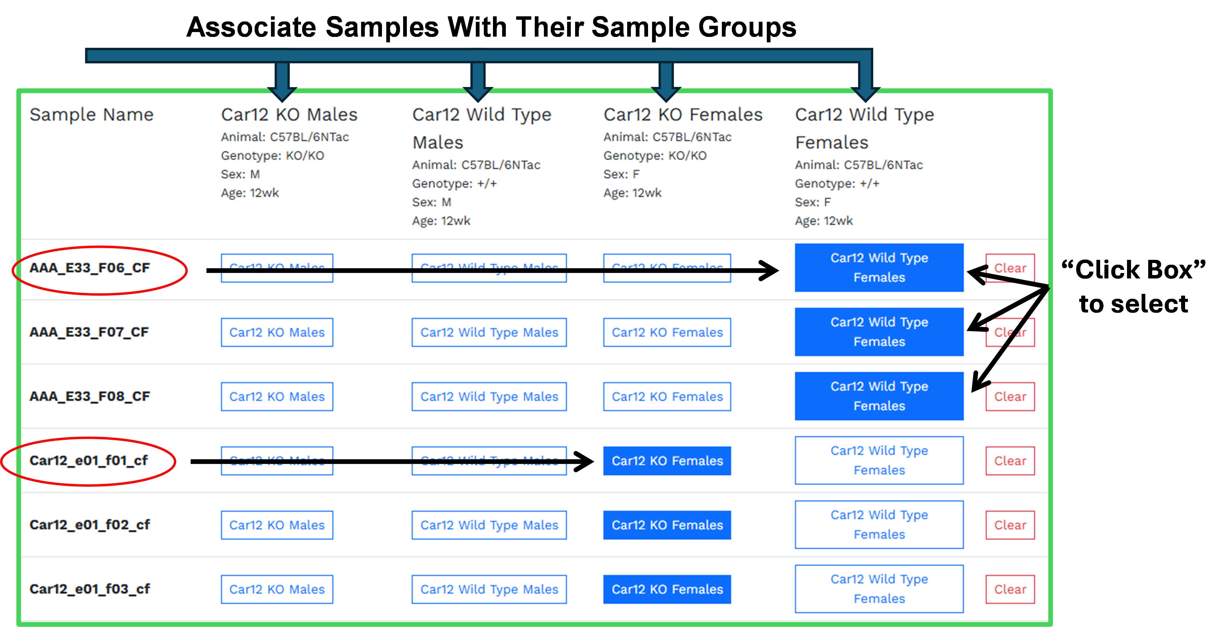 Assigning samples to sample groups